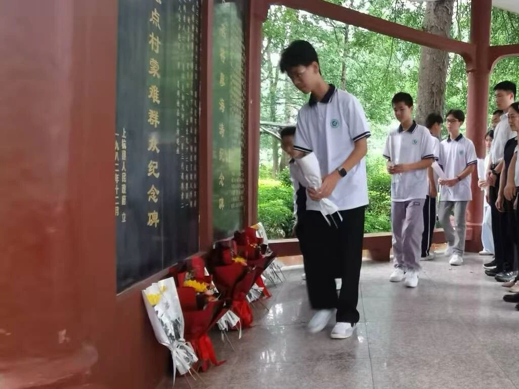 图片4